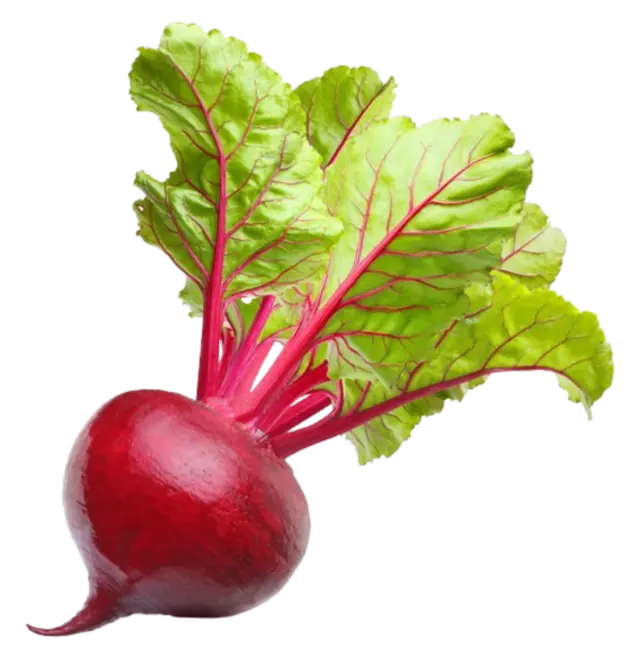 Beetroot