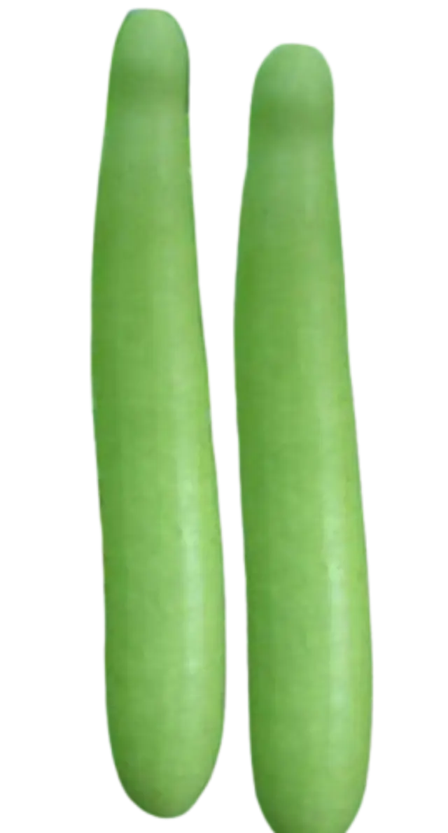 Bottle Gourd
