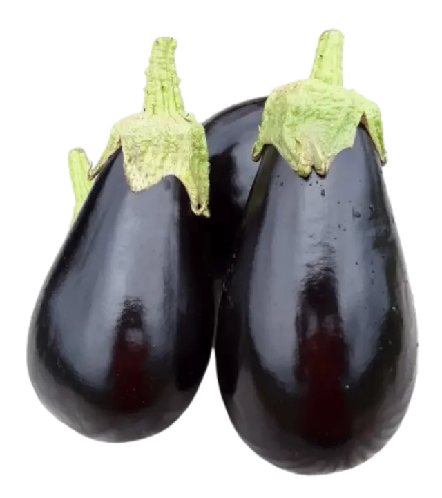 Brinjal (Eggplant)