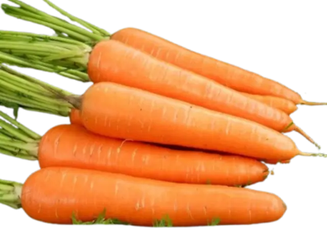 Carrot