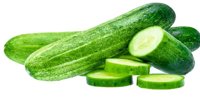 Cucumber