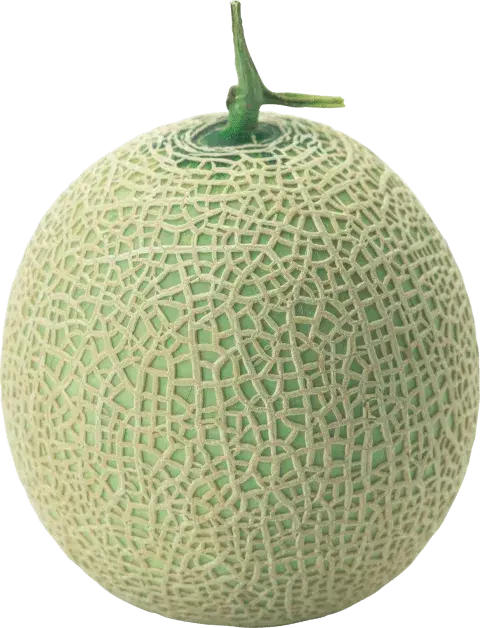 Muskmelon