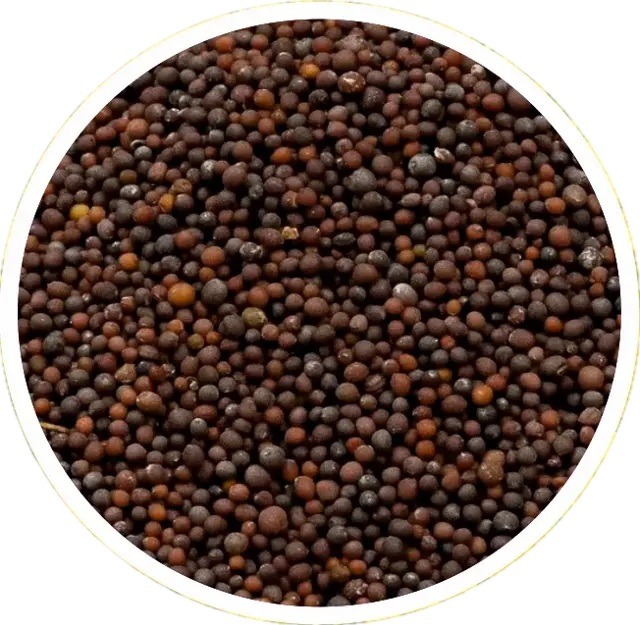 Mustard