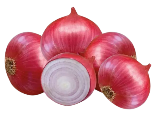 Onion