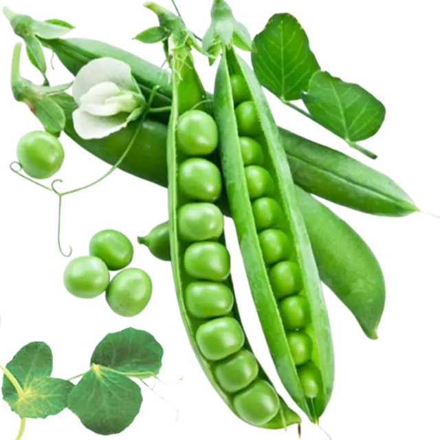 Peas