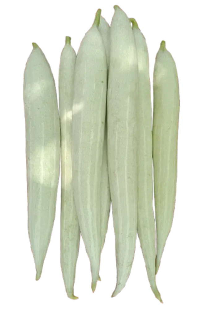 Snake Gourd