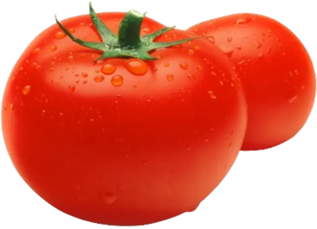 Tomato
